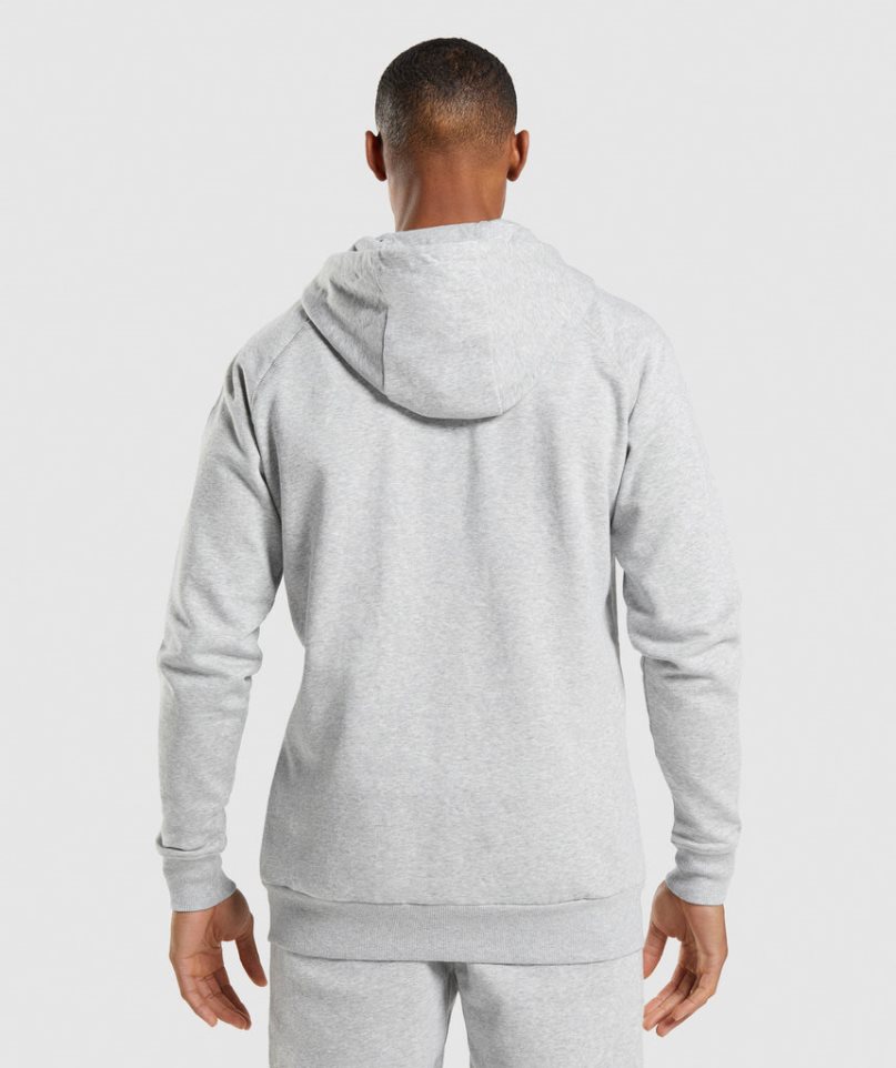 Men's Gymshark Crest Zip Up Hoodie Light Grey | CA 18N0D6